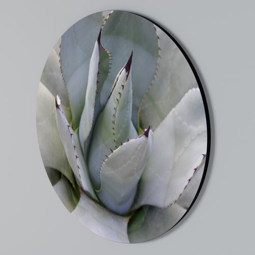 AGAVE ELEGANCE Rundes Wandbild