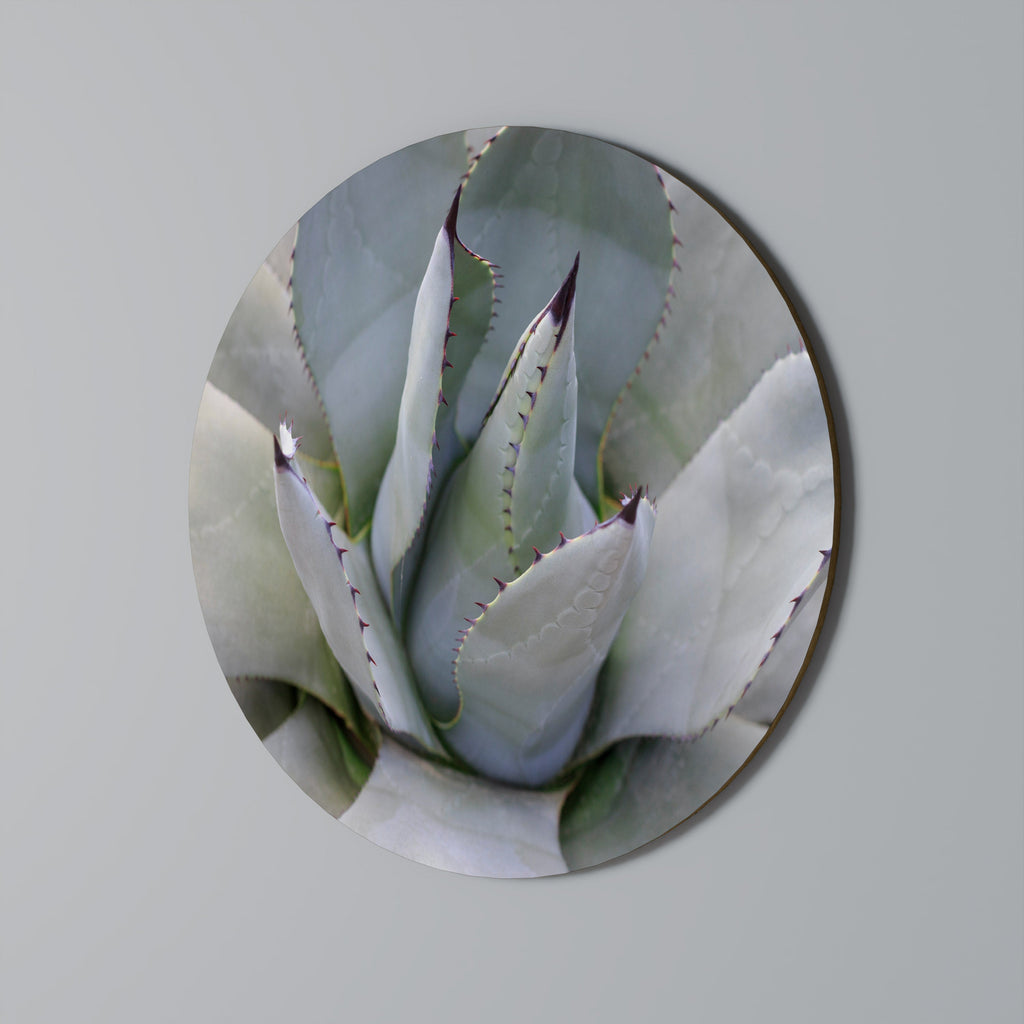 AGAVE ELEGANCE Round Wall Art