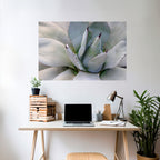 AGAVE ELEGANCE Selbstklebendes Horizontal-Poster