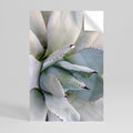 AGAVE ELEGANCE Selbstklebendes Poster - Hochformat