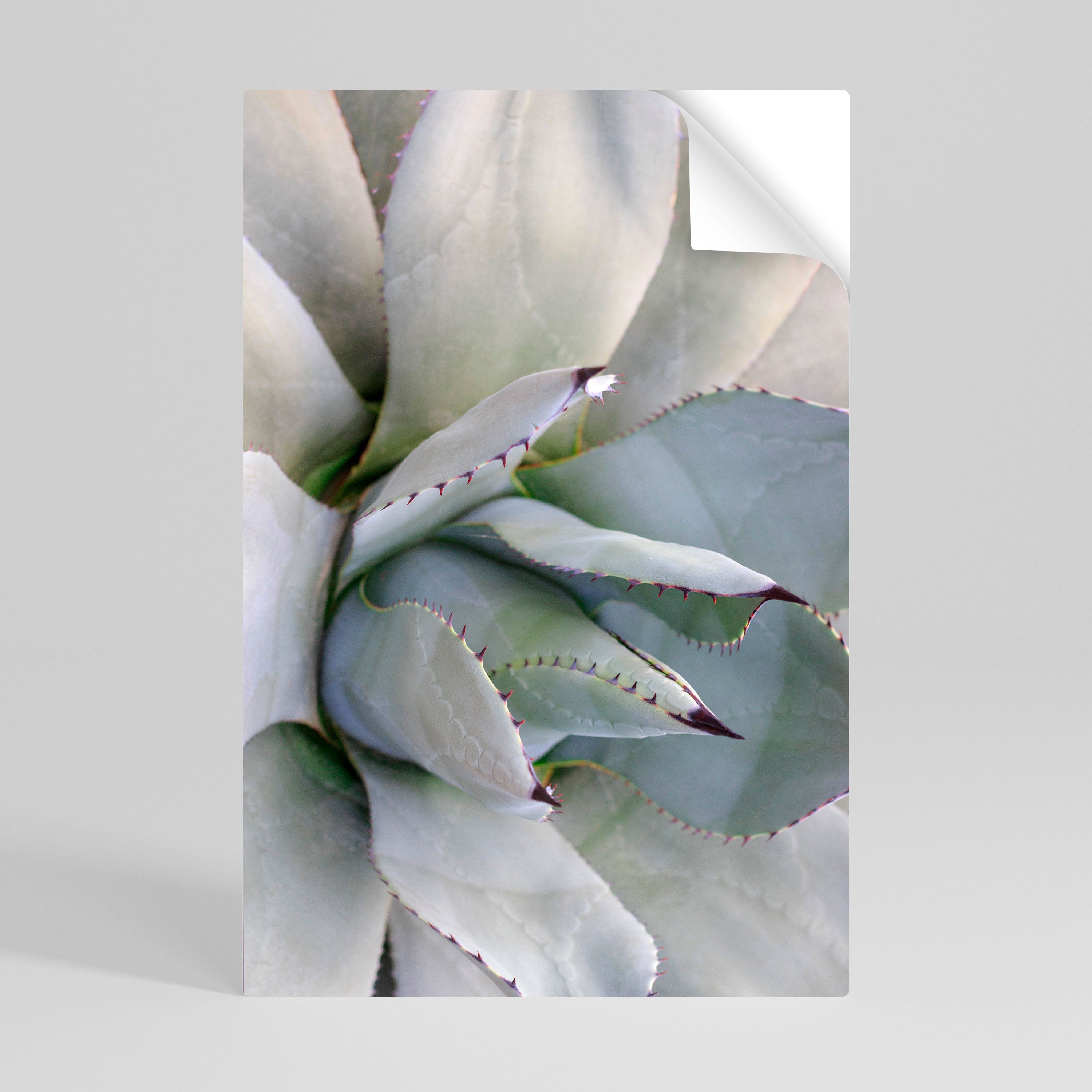 AGAVE ELEGANCE Selbstklebendes Poster - Hochformat