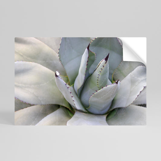 AGAVE ELEGANCE Selbstklebendes Horizontal-Poster
