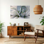 AGAVE ELEGANCE Selbstklebendes Horizontal-Poster