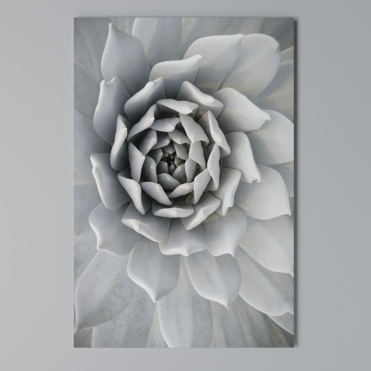ELEGANT PETAL SWIRL Vertical Canvas Print