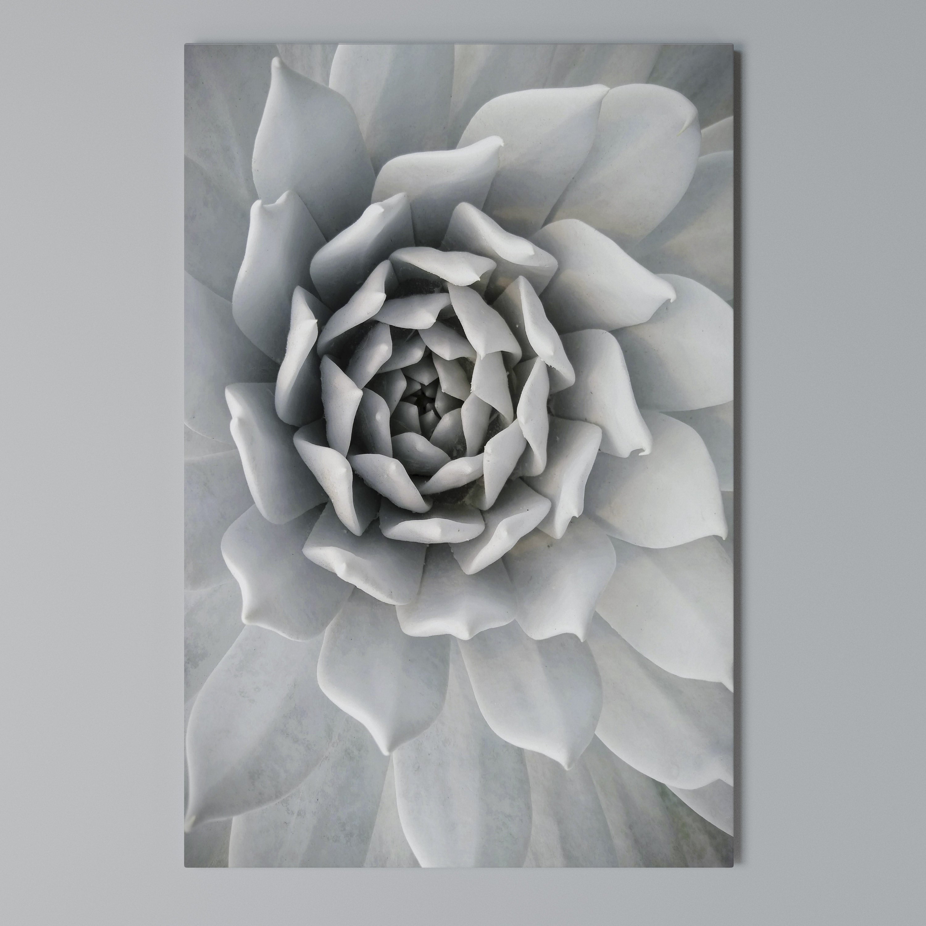 ELEGANT PETAL SWIRL Vertical Canvas Print