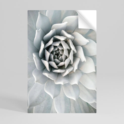 ELEGANT PETAL SWIRL Selbstklebendes Poster - Hochformat
