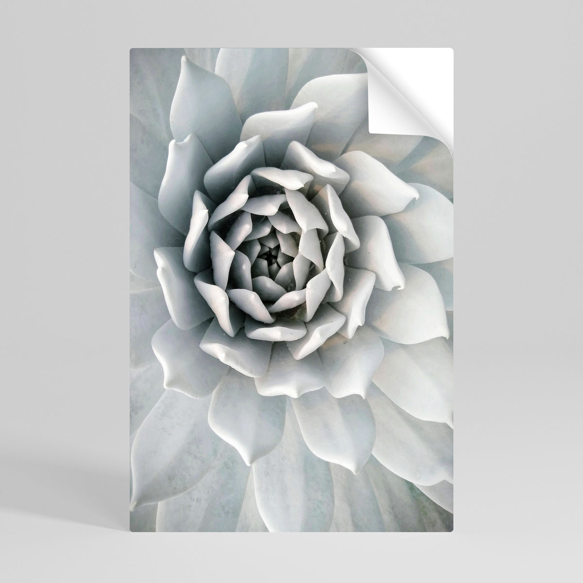 ELEGANT PETAL SWIRL Peel and Stick Vertical Poster