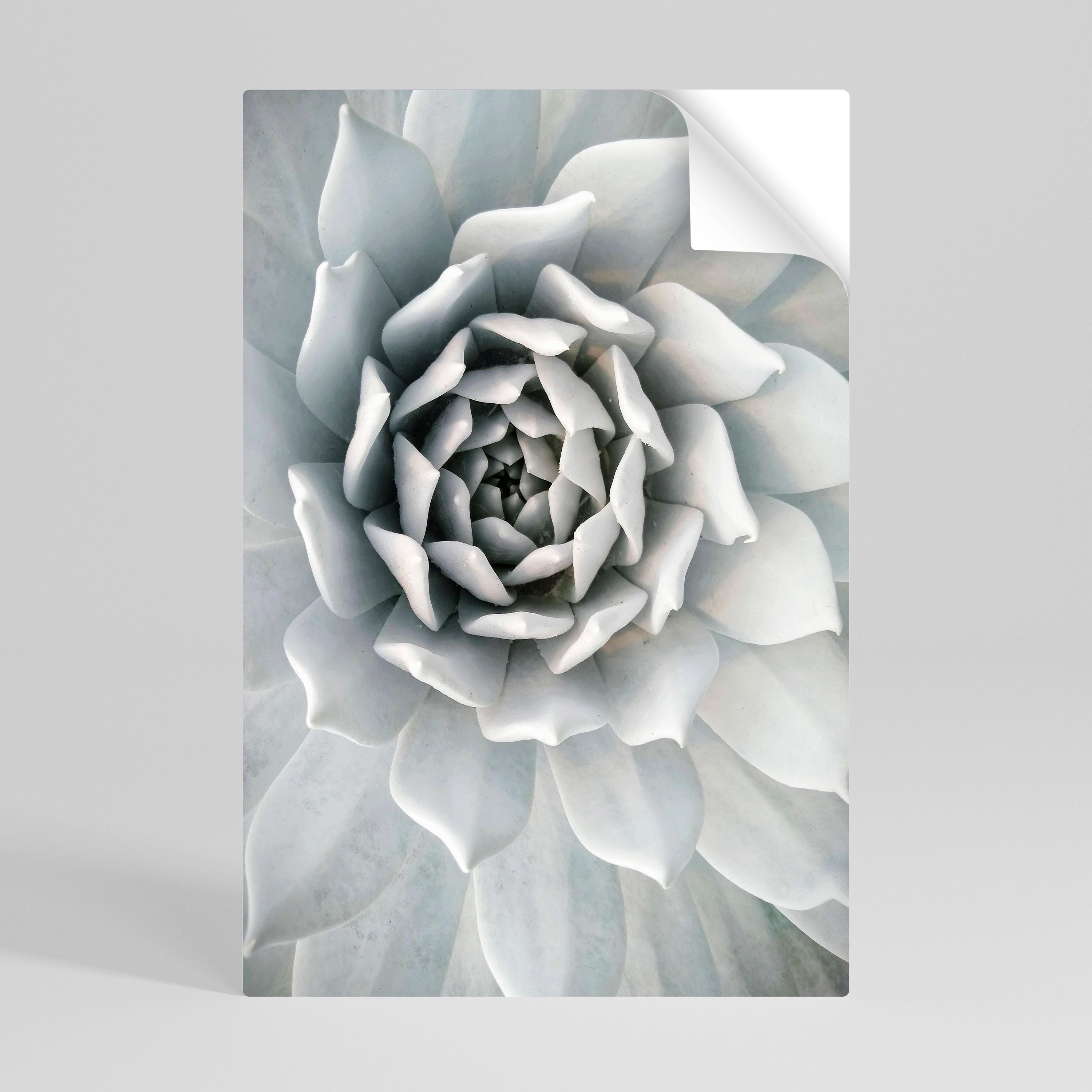 ELEGANT PETAL SWIRL Selbstklebendes Poster - Hochformat