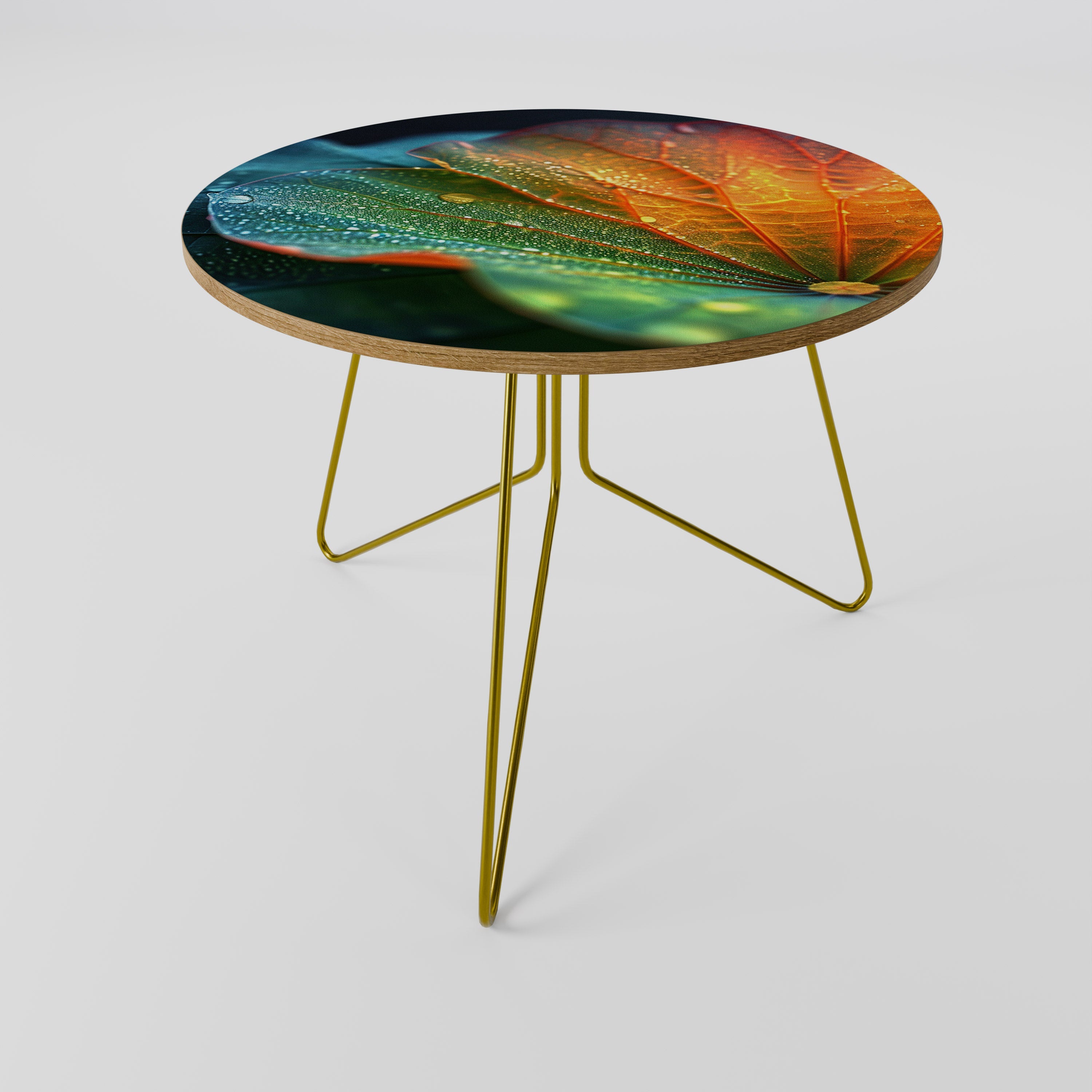 ECHOES OF RAIN Coffee Table 69