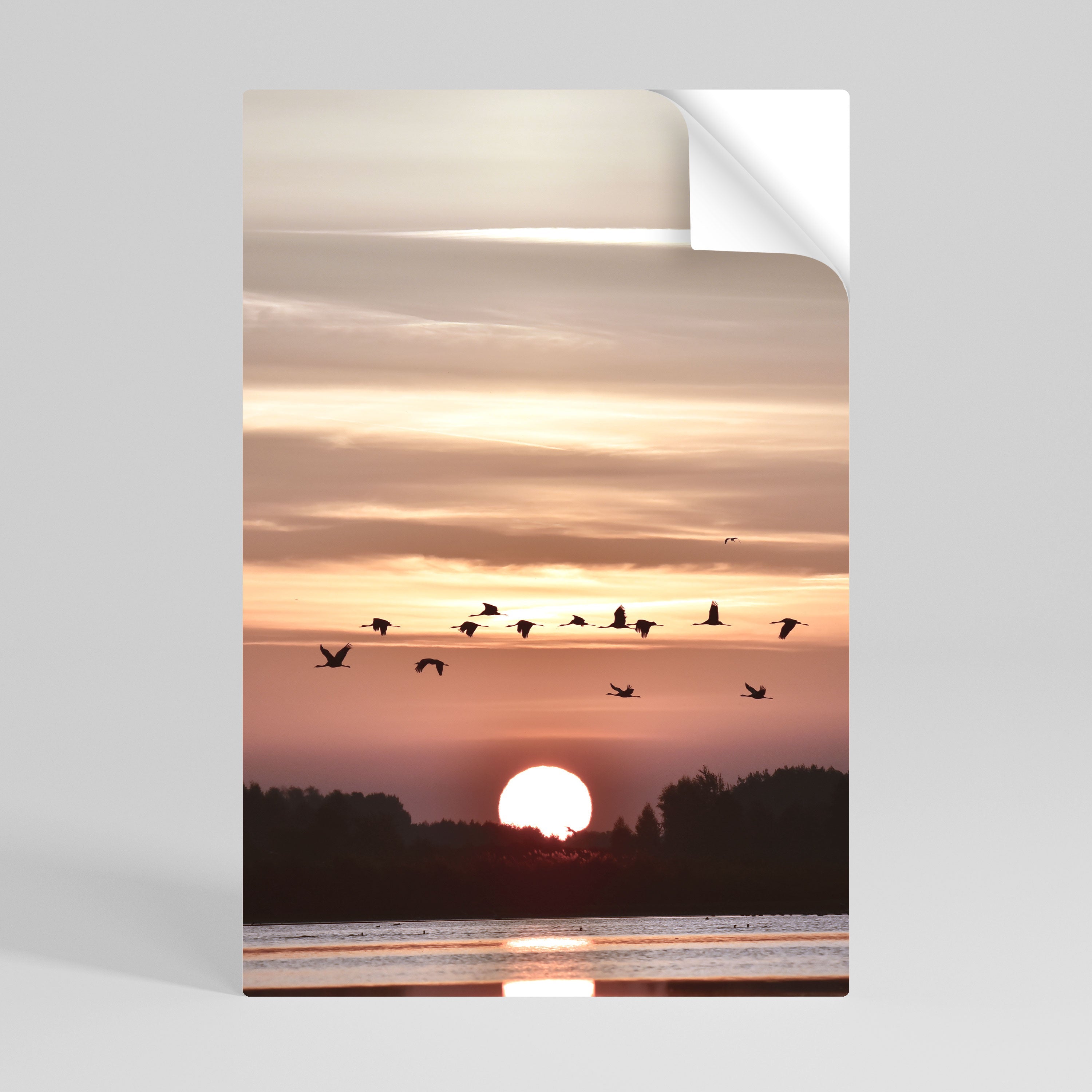 SUNSET FLIGHT SYMPHONY Vertikales Poster zum Abziehen und Aufkleben
