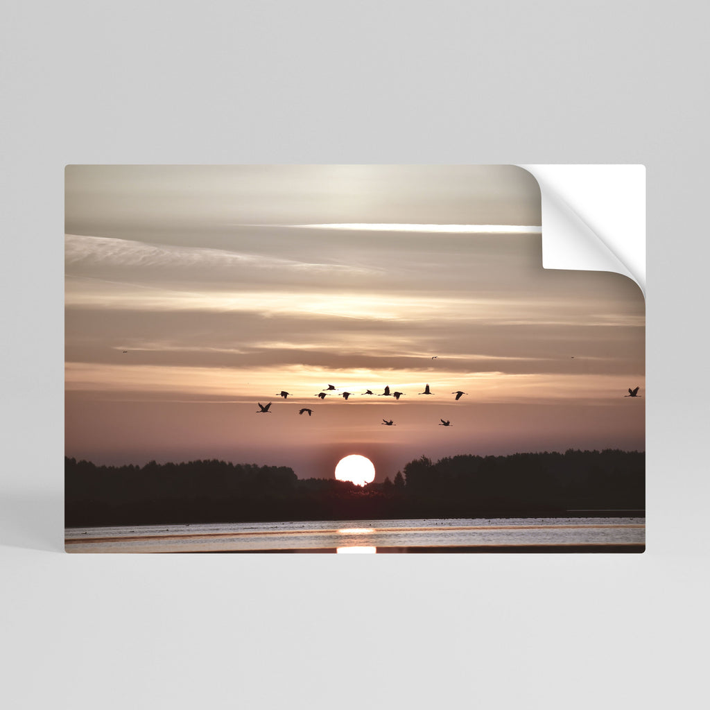 SUNSET FLIGHT SYMPHONY Horizontales Poster zum Abziehen und Aufkleben