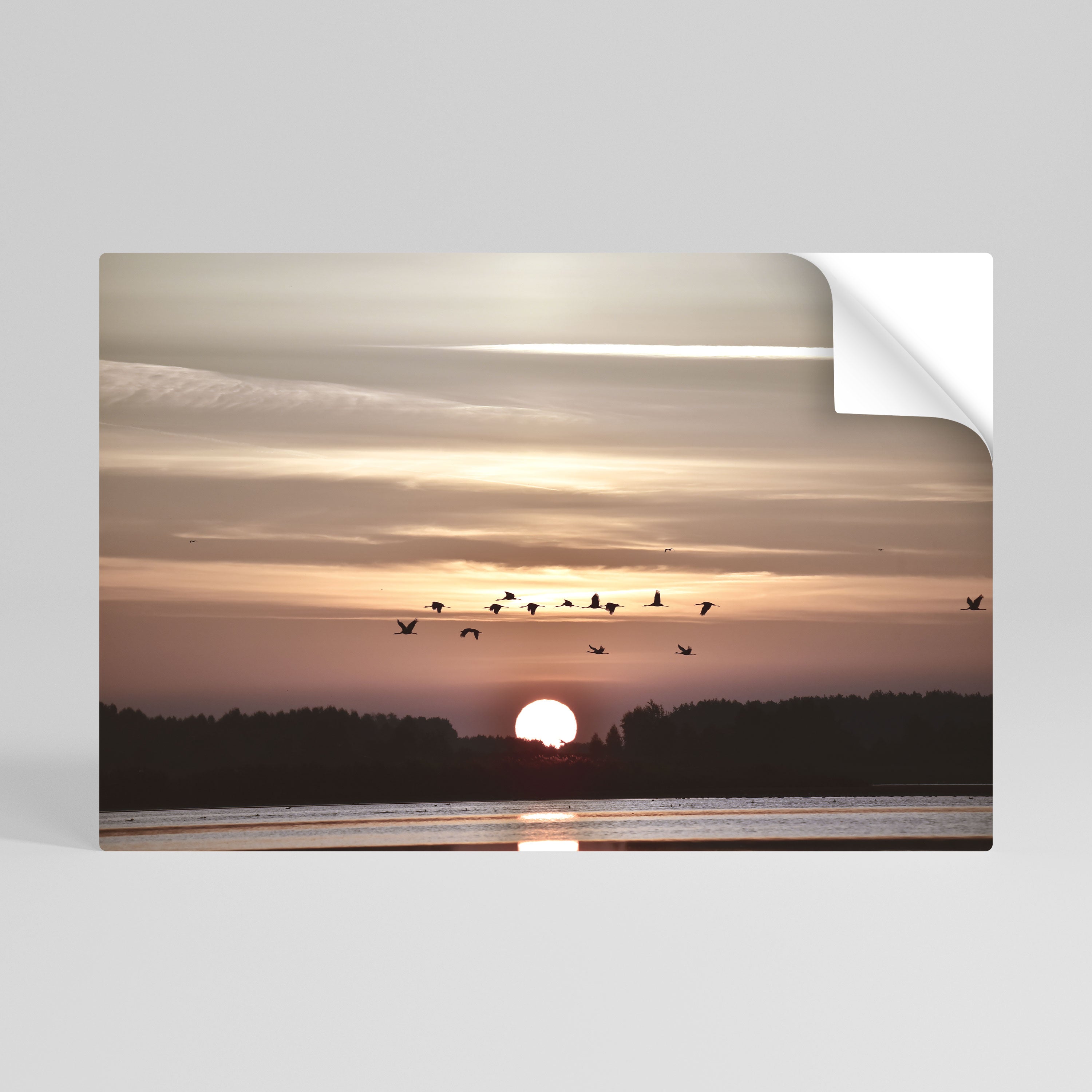 SUNSET FLIGHT SYMPHONY Horizontales Poster zum Abziehen und Aufkleben