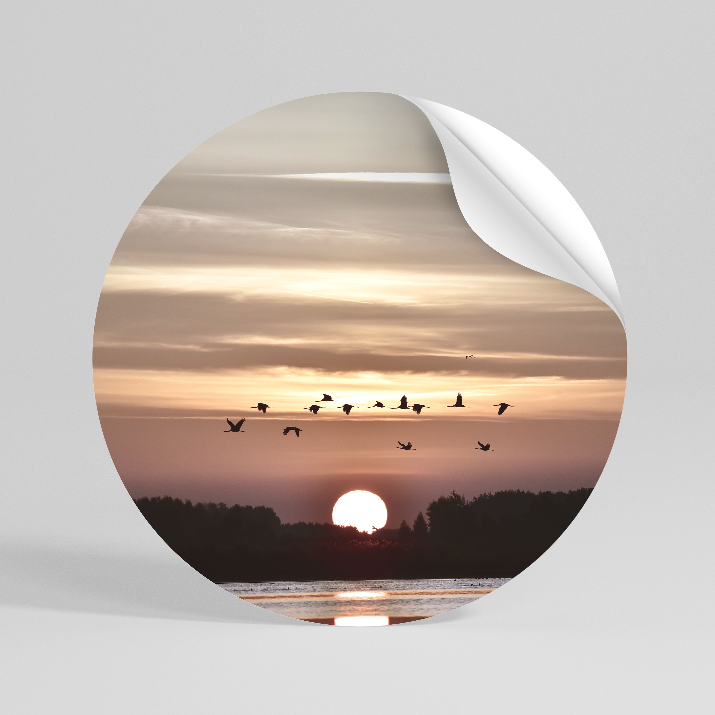SUNSET FLIGHT SYMPHONY Peel and Stick Round Sticker