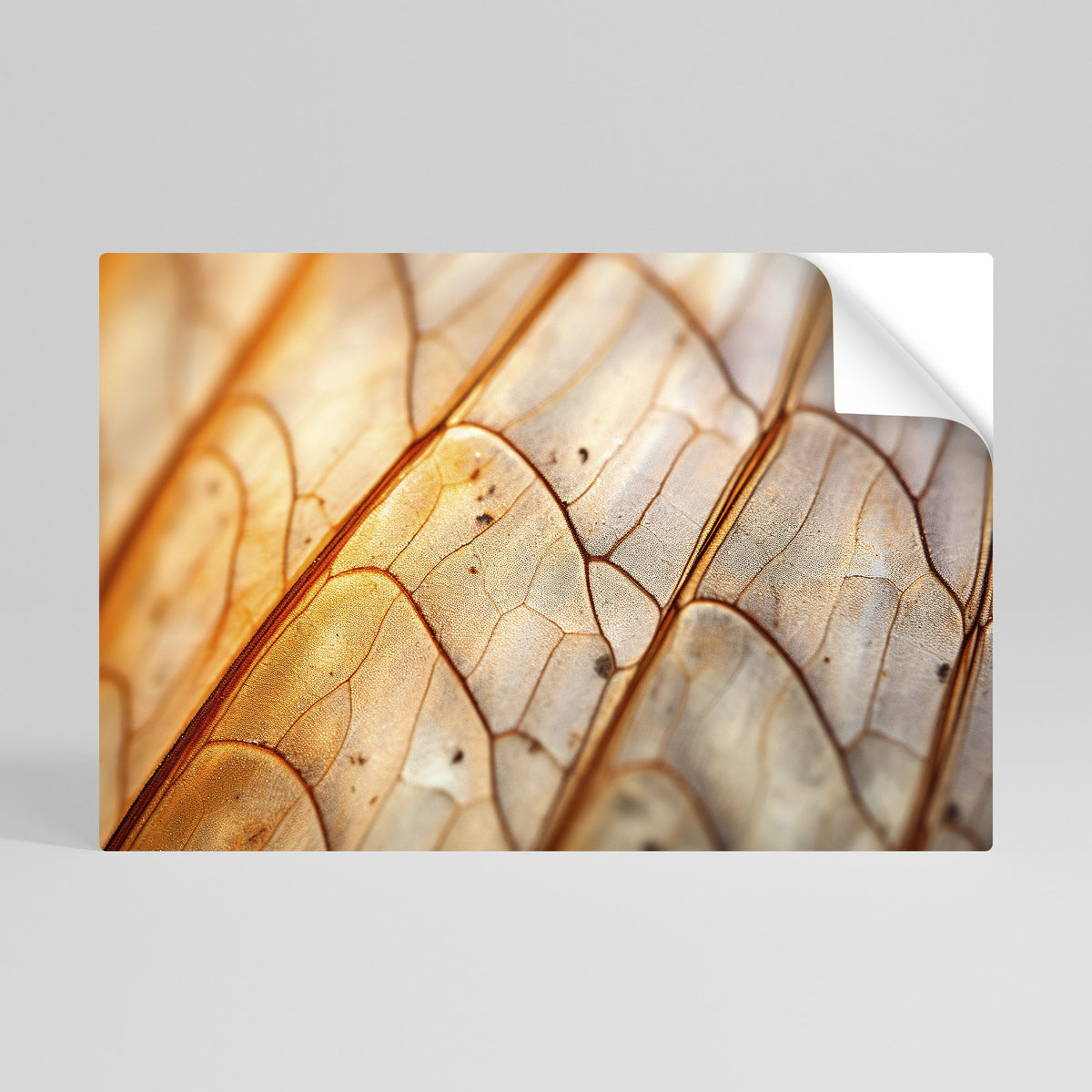 ELEGANT VEINING Selbstklebendes Horizontal-Poster