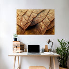 RUSTIC TEXTURE STUDY Peel and Stick Horizontal Poster