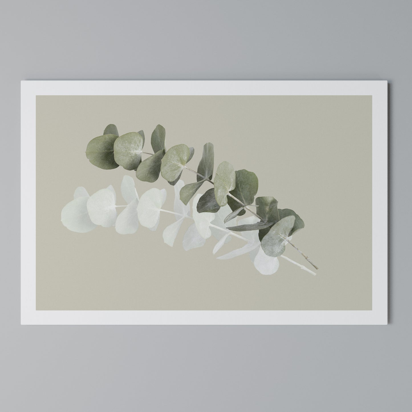 TRANSLUCENT NATURE Horizontal Canvas Print