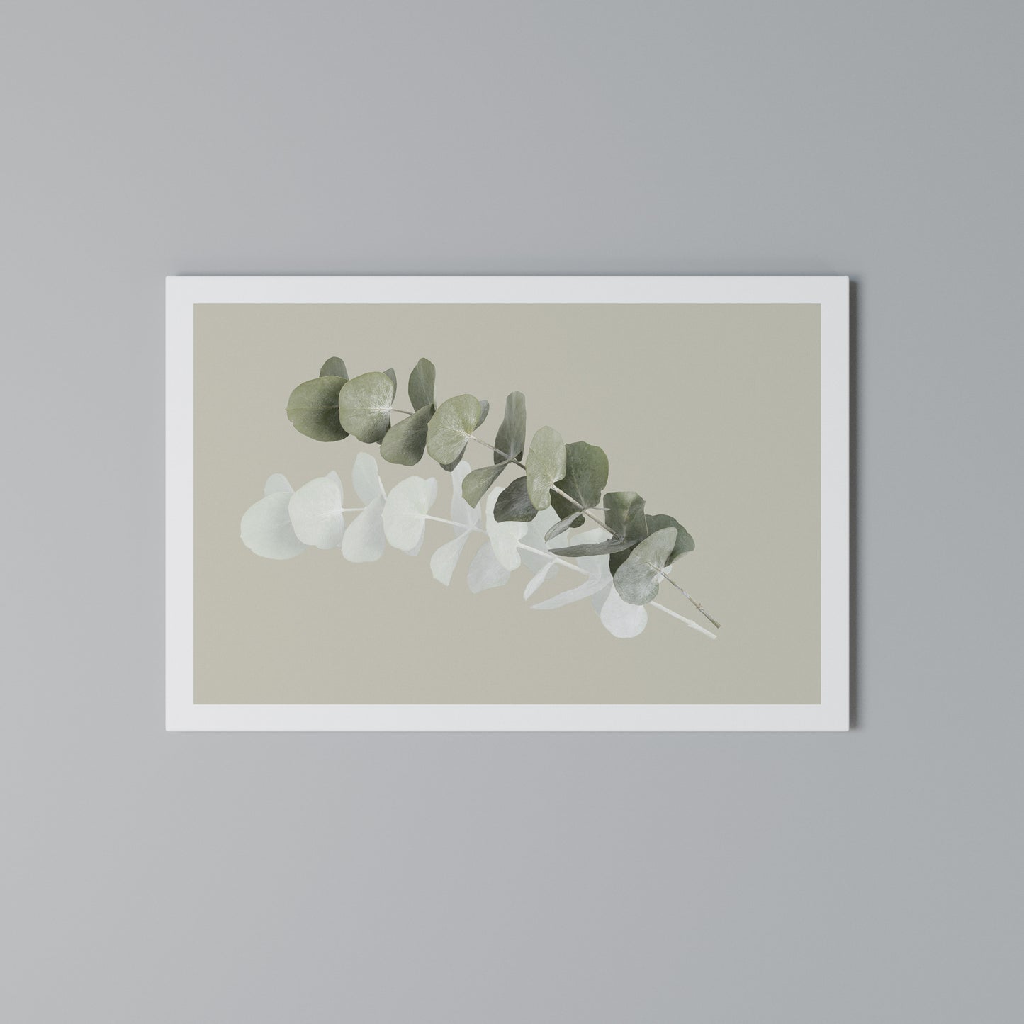 TRANSLUCENT NATURE Horizontal Canvas Print