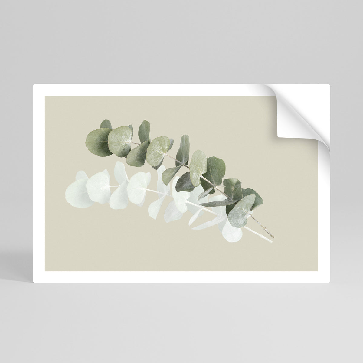TRANSLUCENT NATURE Selbstklebendes Horizontal-Poster