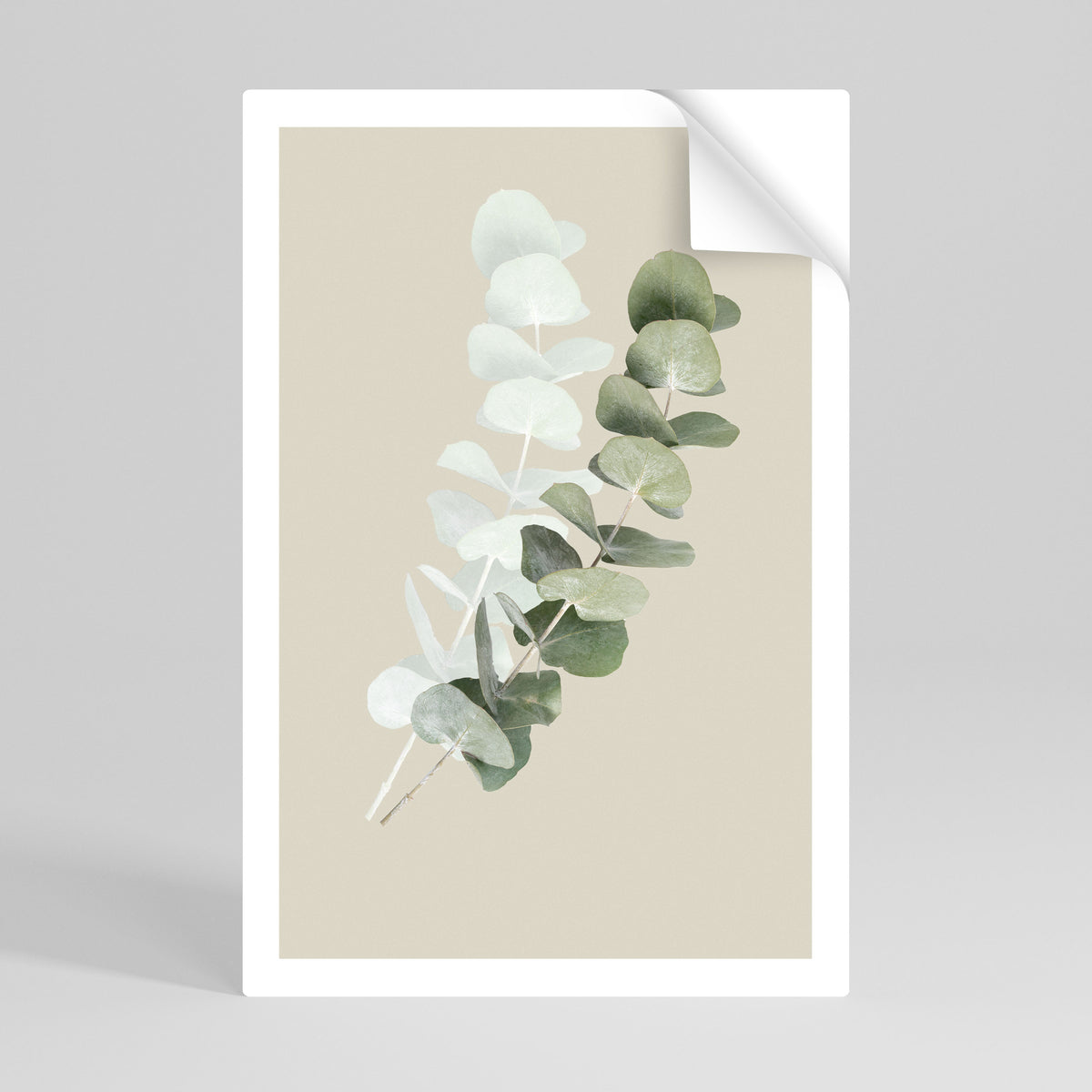 TRANSLUCENT NATURE Selbstklebendes Poster - Hochformat