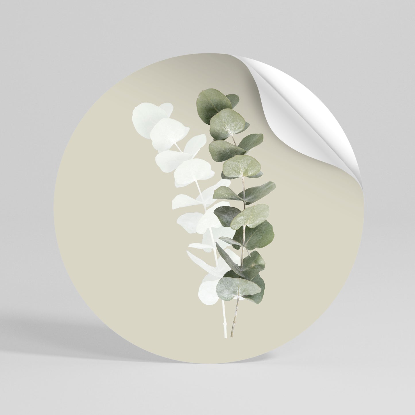 TRANSLUCENT NATURE Runder Wandsticker zum Abziehen und Aufkleben