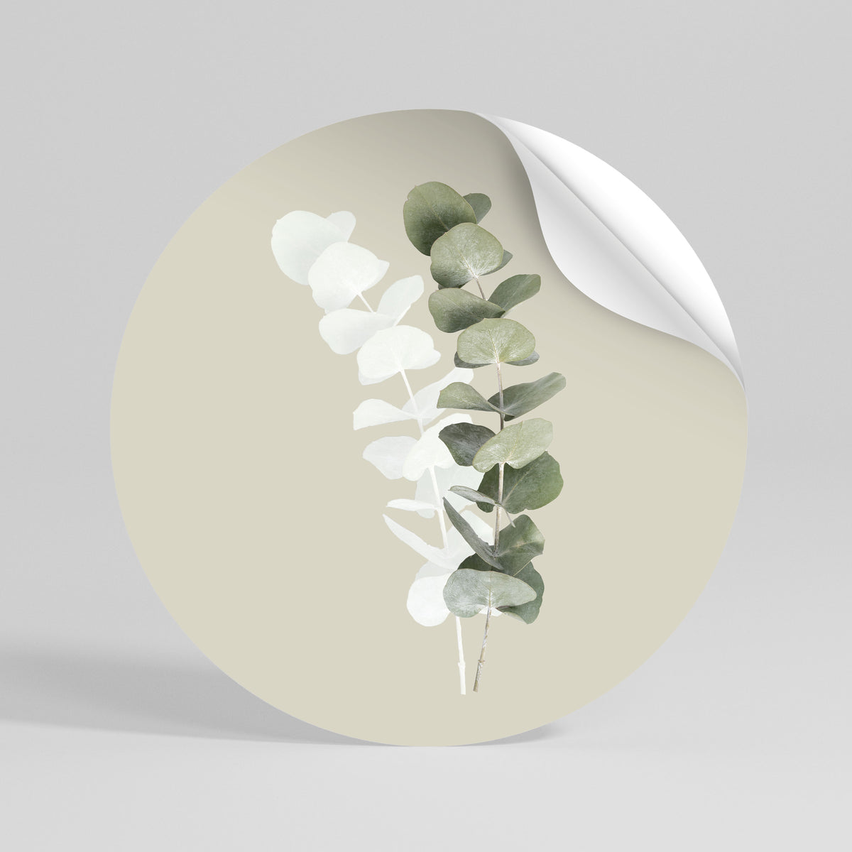 TRANSLUCENT NATURE Runder Wandsticker zum Abziehen und Aufkleben