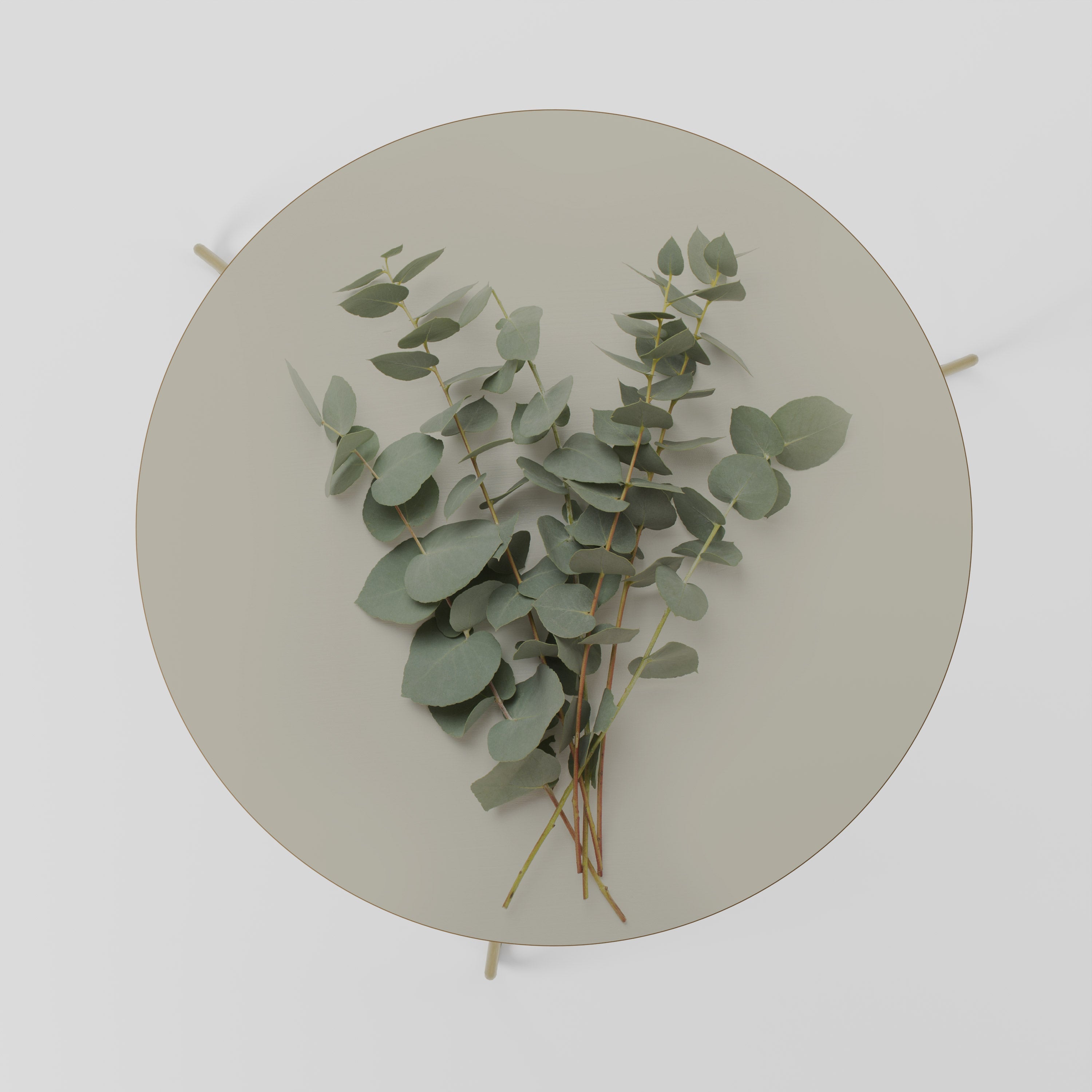 FOLIAGE FANTASIES Coffee Table 69