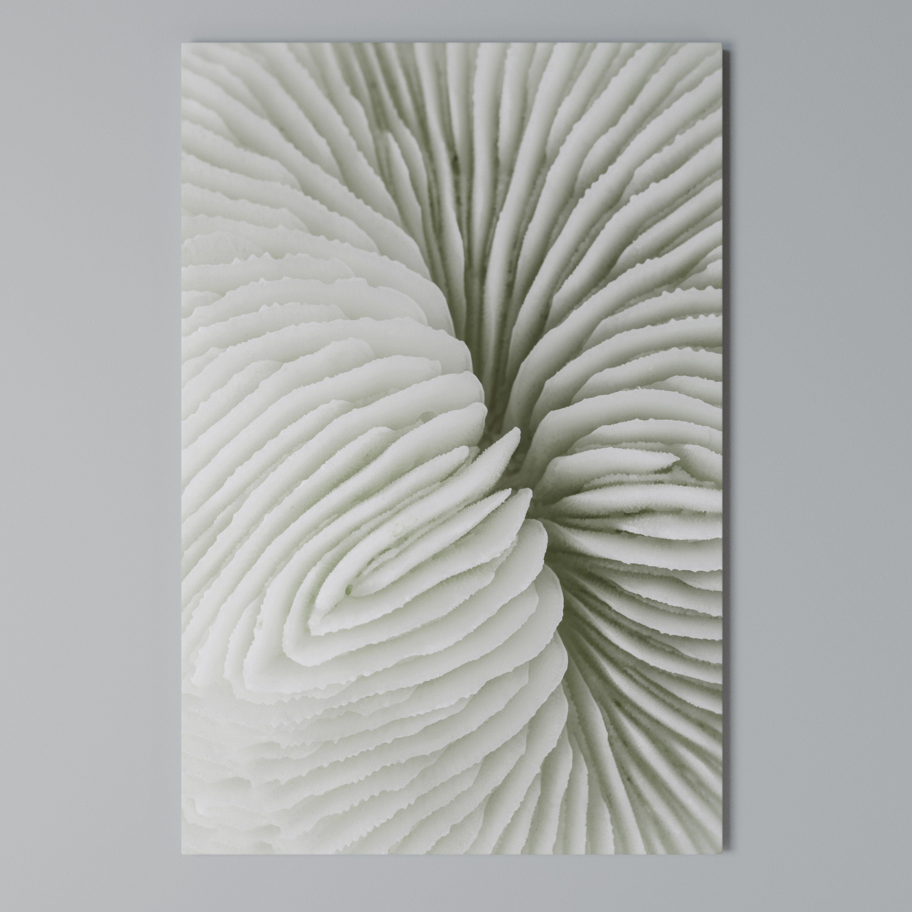 NATURE'S SYMMETRY Vertical Canvas Print