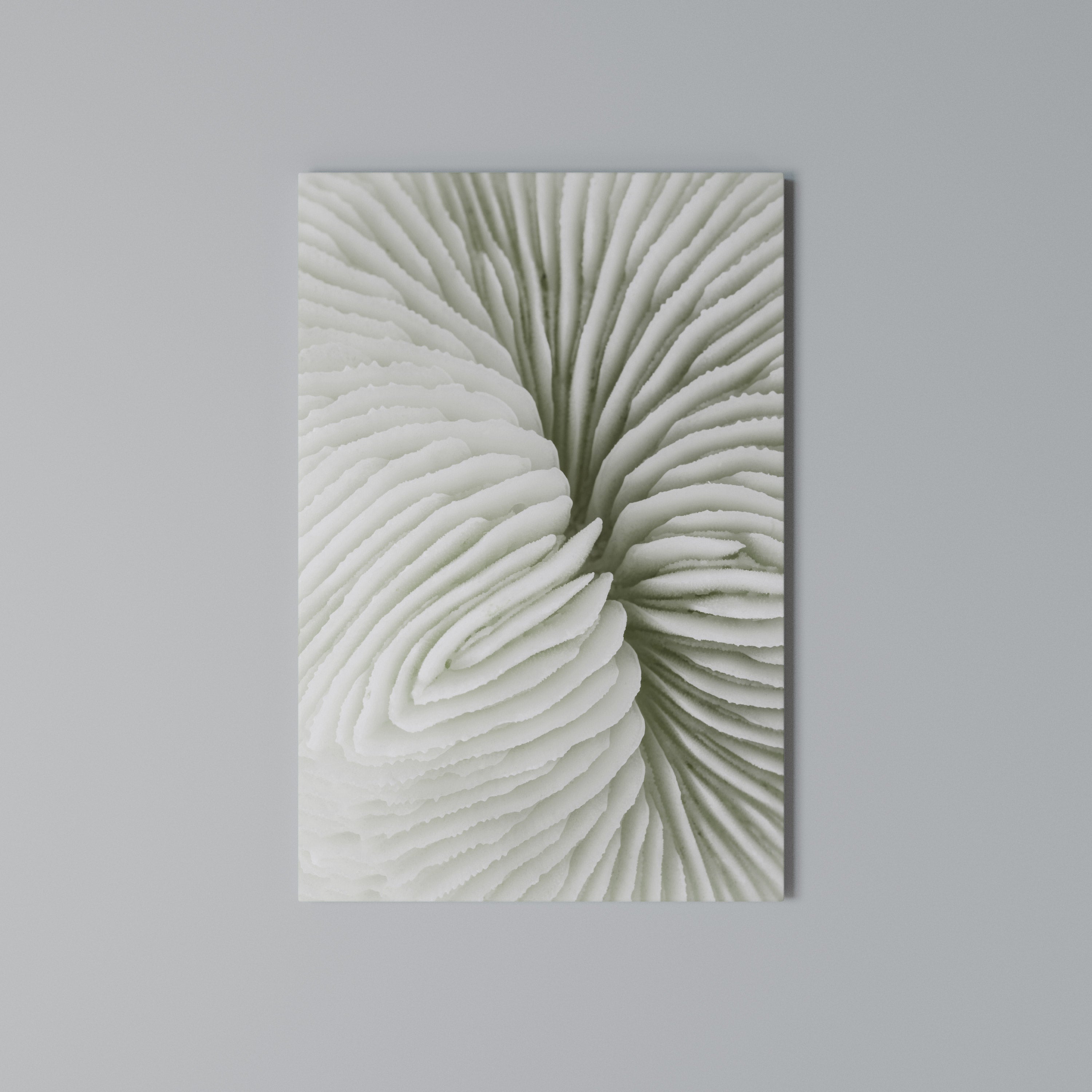 NATURE'S SYMMETRY Vertical Canvas Print
