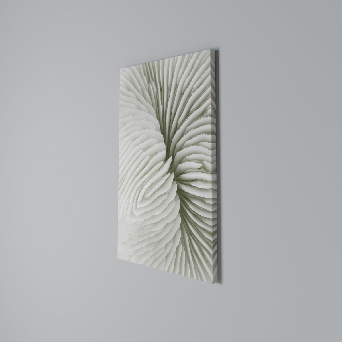 NATURE'S SYMMETRY Vertical Canvas Print