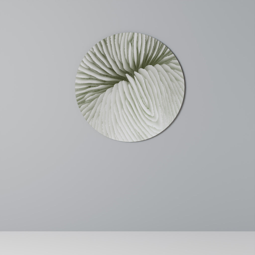 NATURE'S SYMMETRY Runde Wanddekoration Ø 69 cm