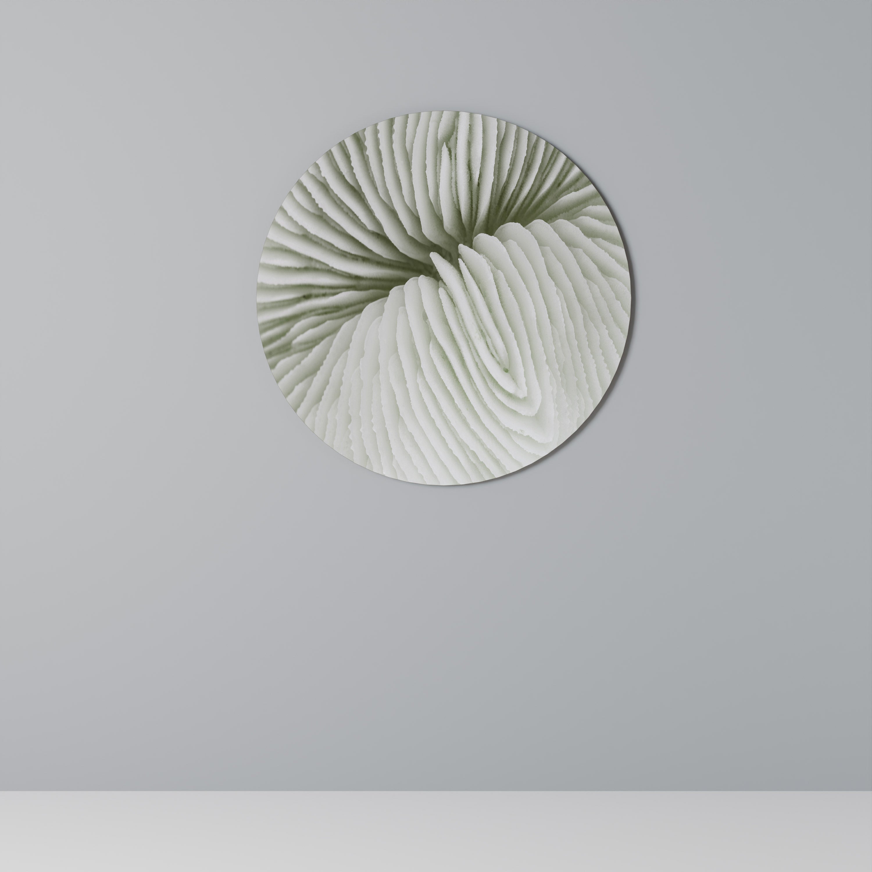 NATURE'S SYMMETRY Round Wall Art