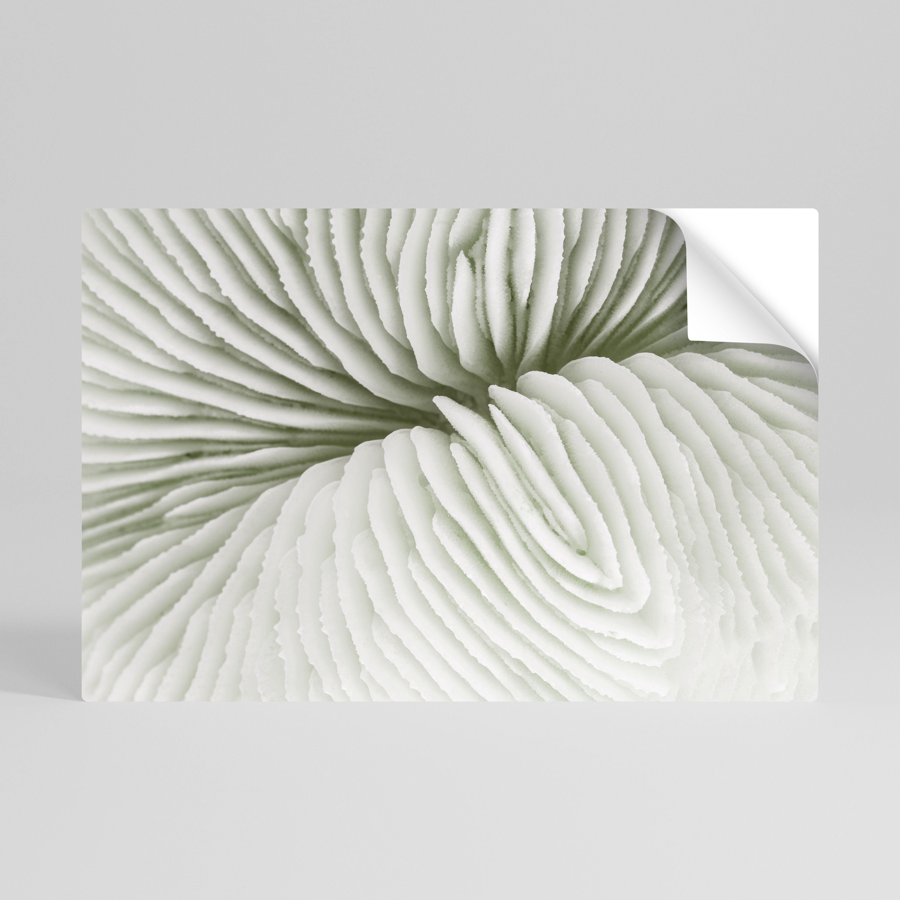 NATURE'S SYMMETRY Horizontales Poster zum Abziehen und Aufkleben