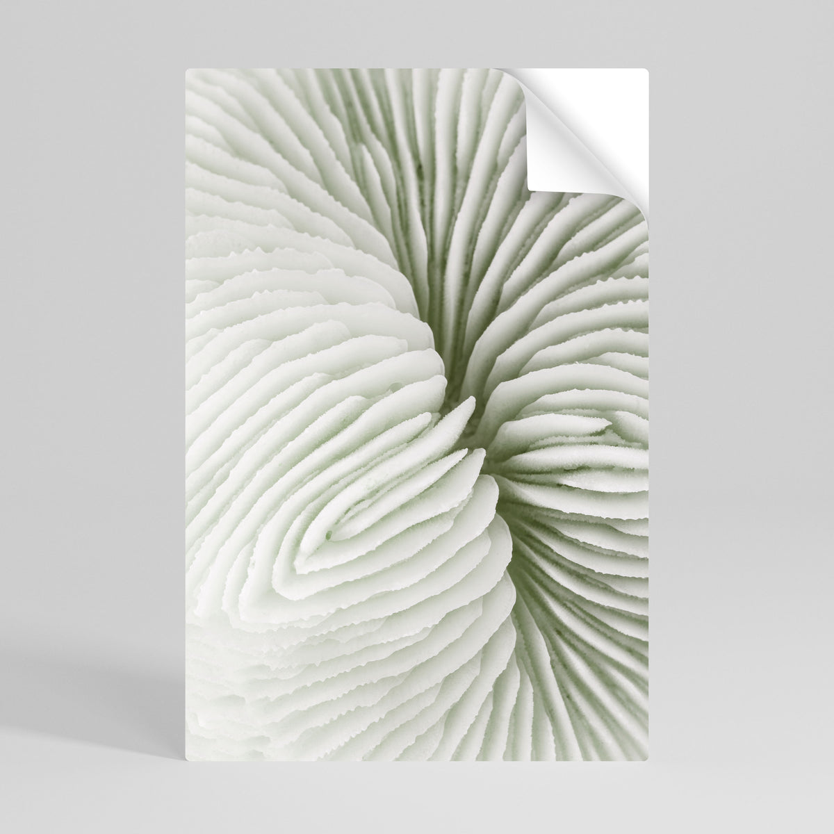 NATURE'S SYMMETRY Selbstklebendes Poster - Hochformat