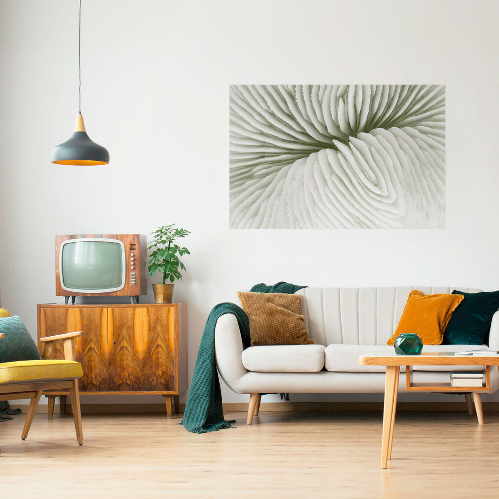 NATURE'S SYMMETRY Horizontales Poster zum Abziehen und Aufkleben
