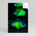 RAINDROPS ON STONE Peel and Stick Vertical Poster