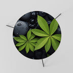 NATURE'S EMBRACE Couchtisch Ø 60 cm