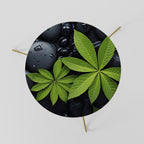 NATURE'S EMBRACE Couchtisch Ø 60 cm