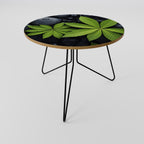 NATURE'S EMBRACE Couchtisch Ø 69 cm