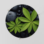 NATURE'S EMBRACE Couchtisch Ø 69 cm