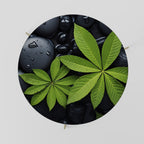 NATURE'S EMBRACE Couchtisch Ø 69 cm