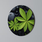 NATURE'S EMBRACE Runde Wanddekoration Ø 69 cm