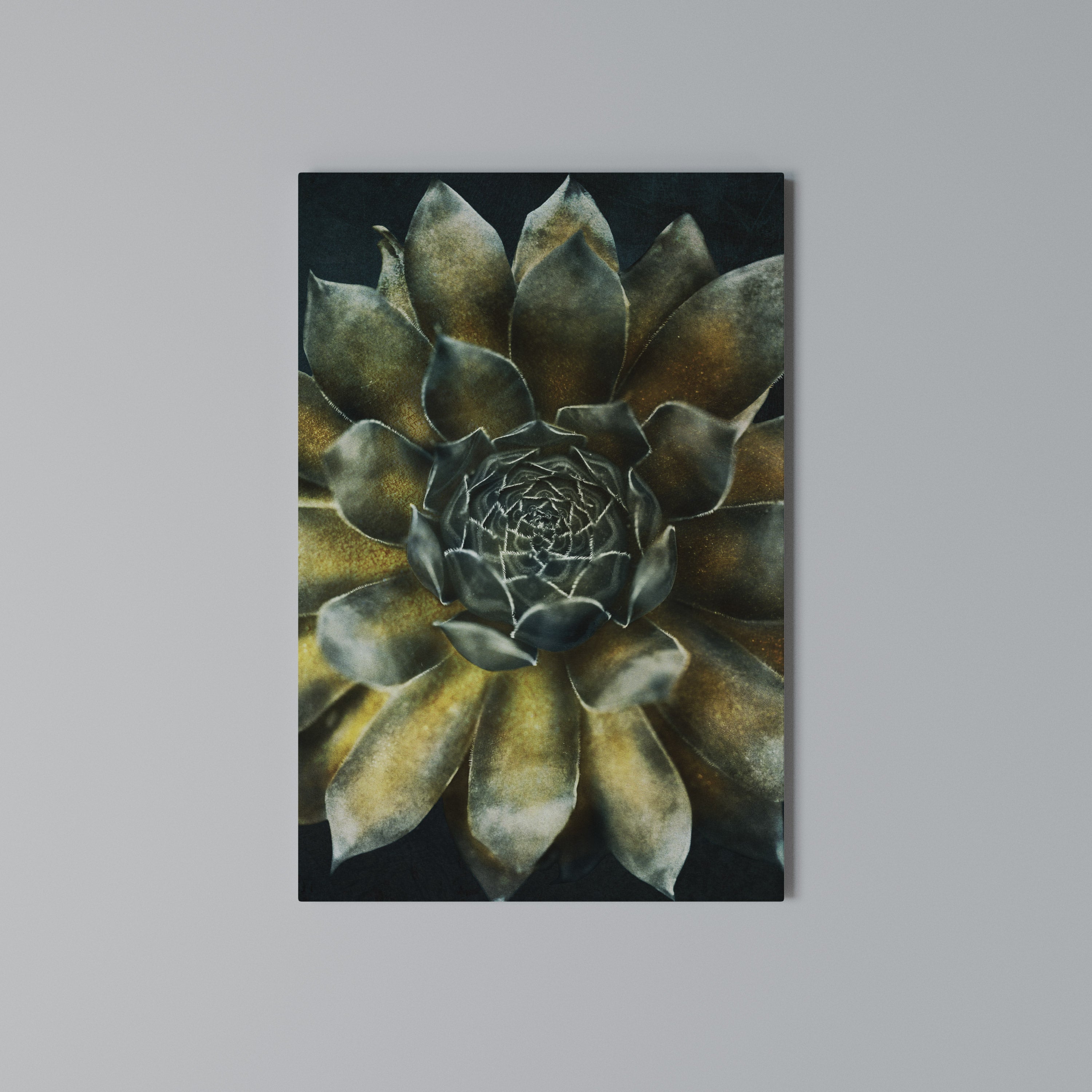MYSTICAL SUCCULENT WHIRL Vertical Canvas Print