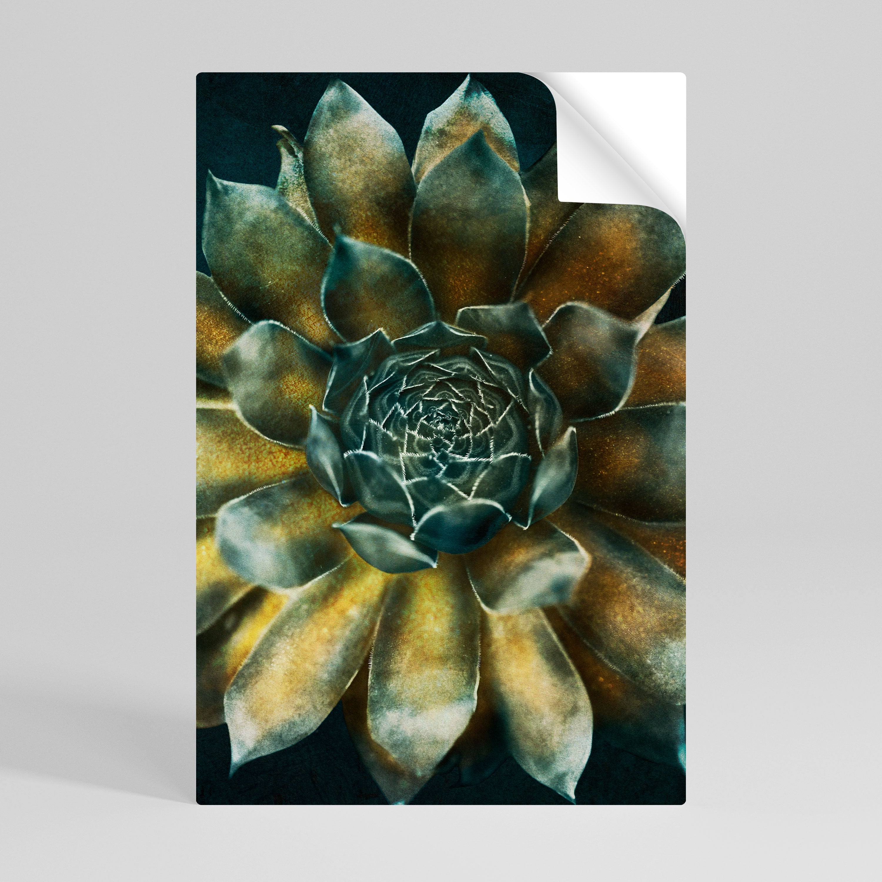 MYSTICAL SUCCULENT WHIRL Vertikales Poster zum Abziehen und Aufkleben