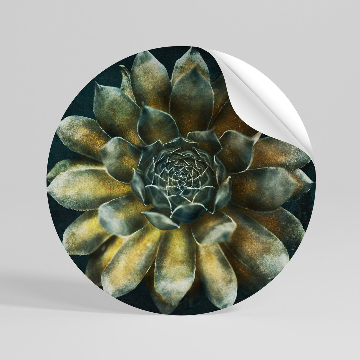 MYSTICAL SUCCULENT WHIRL Runder Wandsticker zum Abziehen und Aufkleben