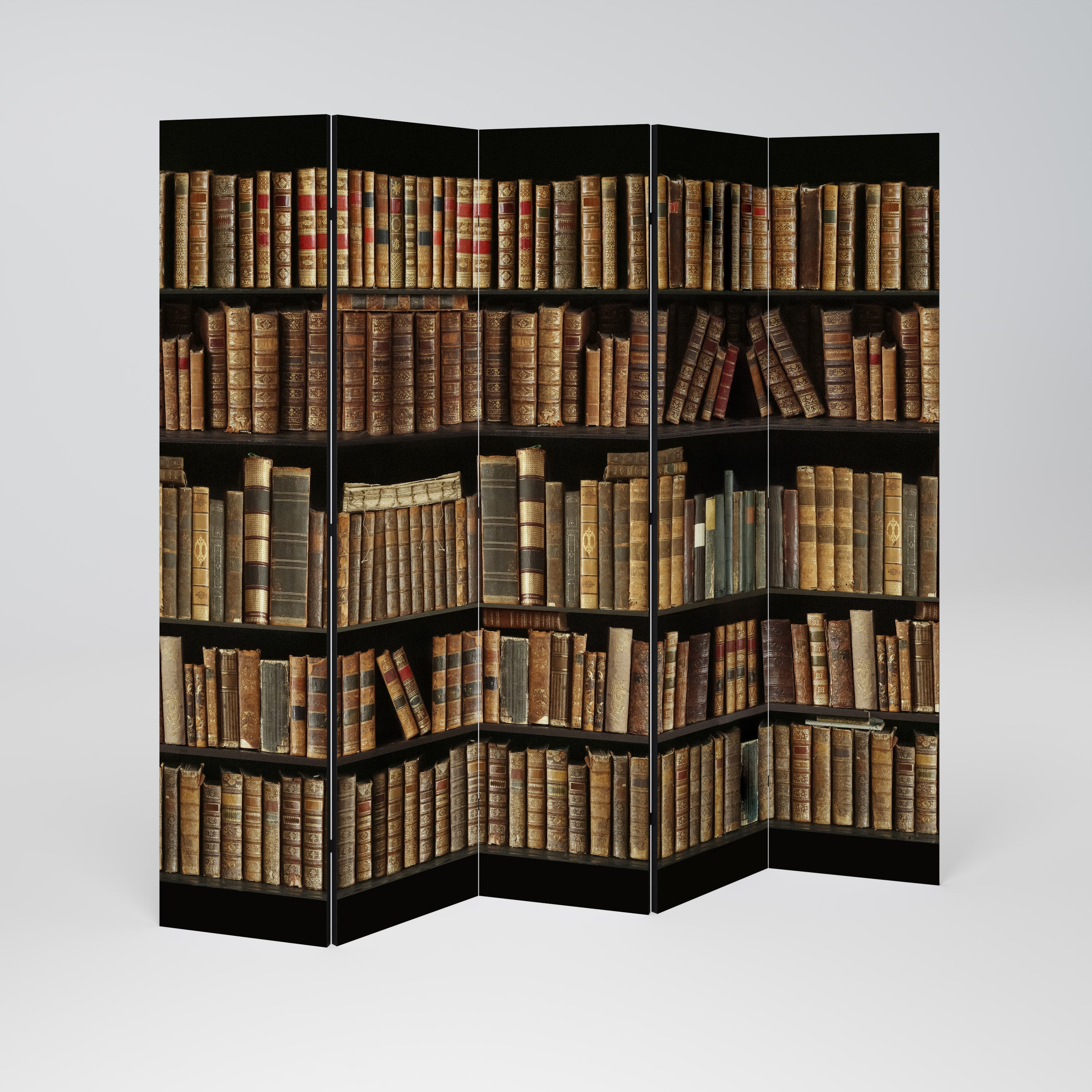SHELVES OF TIME Dekorativer 5-teiliger Raumteiler