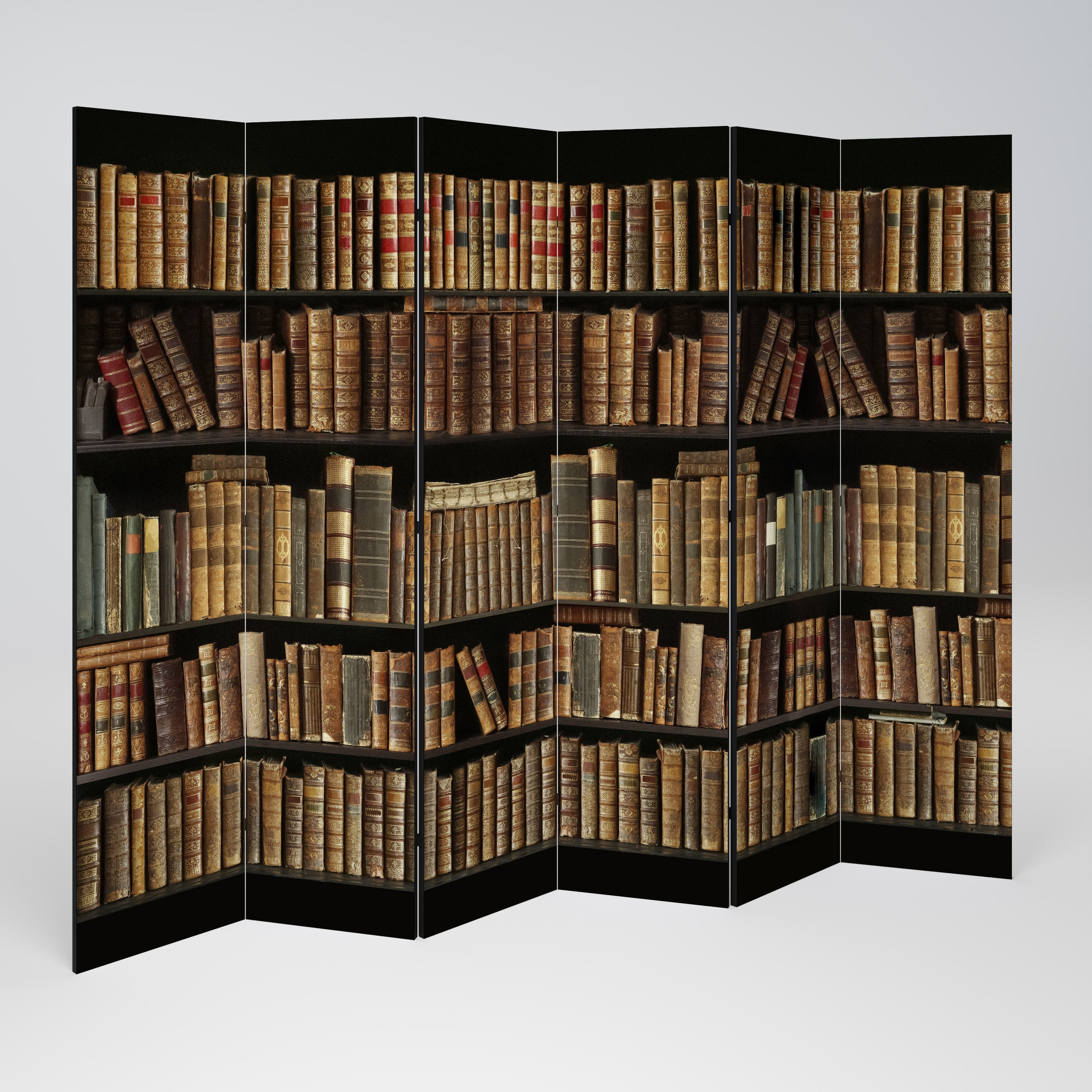 SHELVES OF TIME Dekorativer 6-teiliger Raumteiler