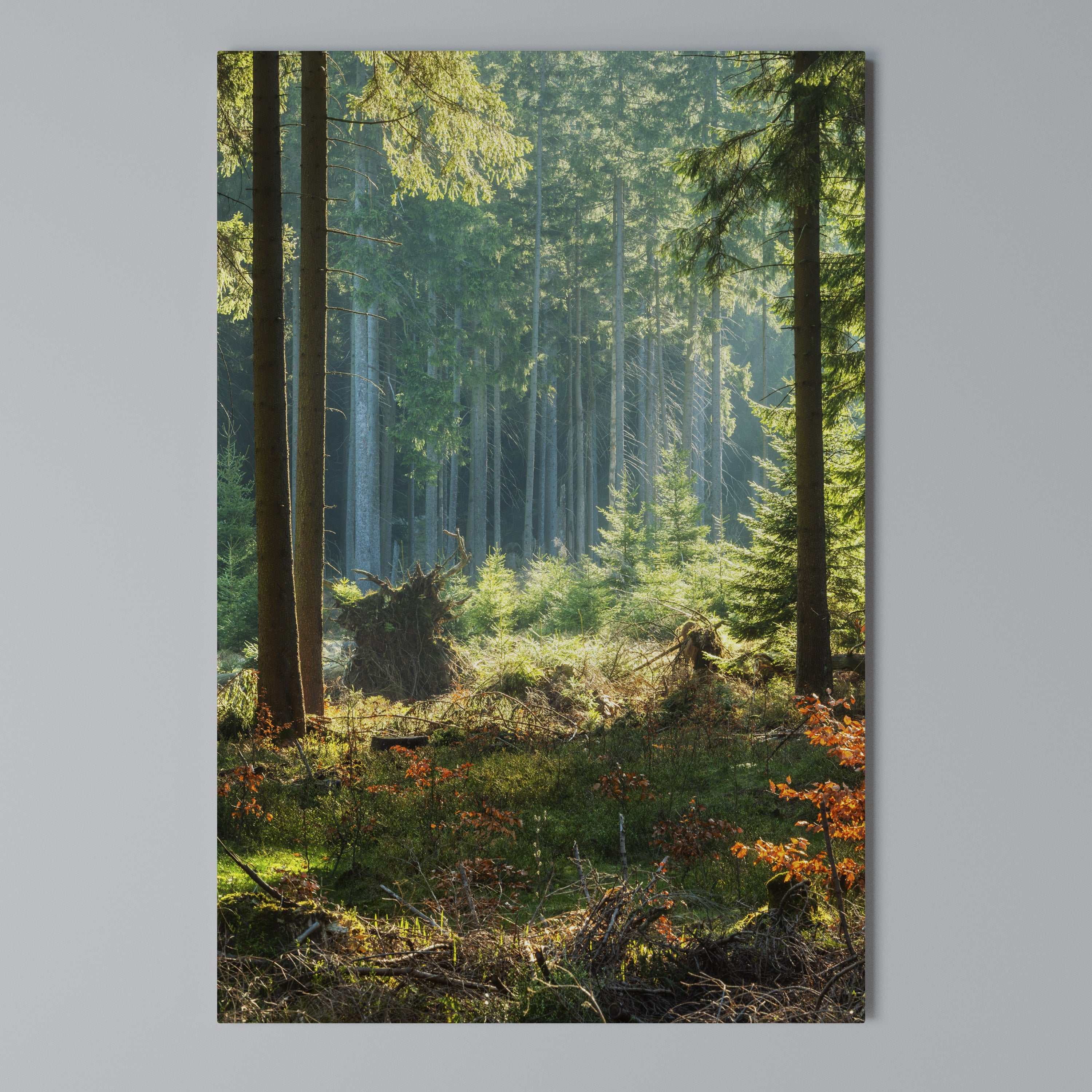 SUNLIT FOREST SERENADE Vertical Canvas Print