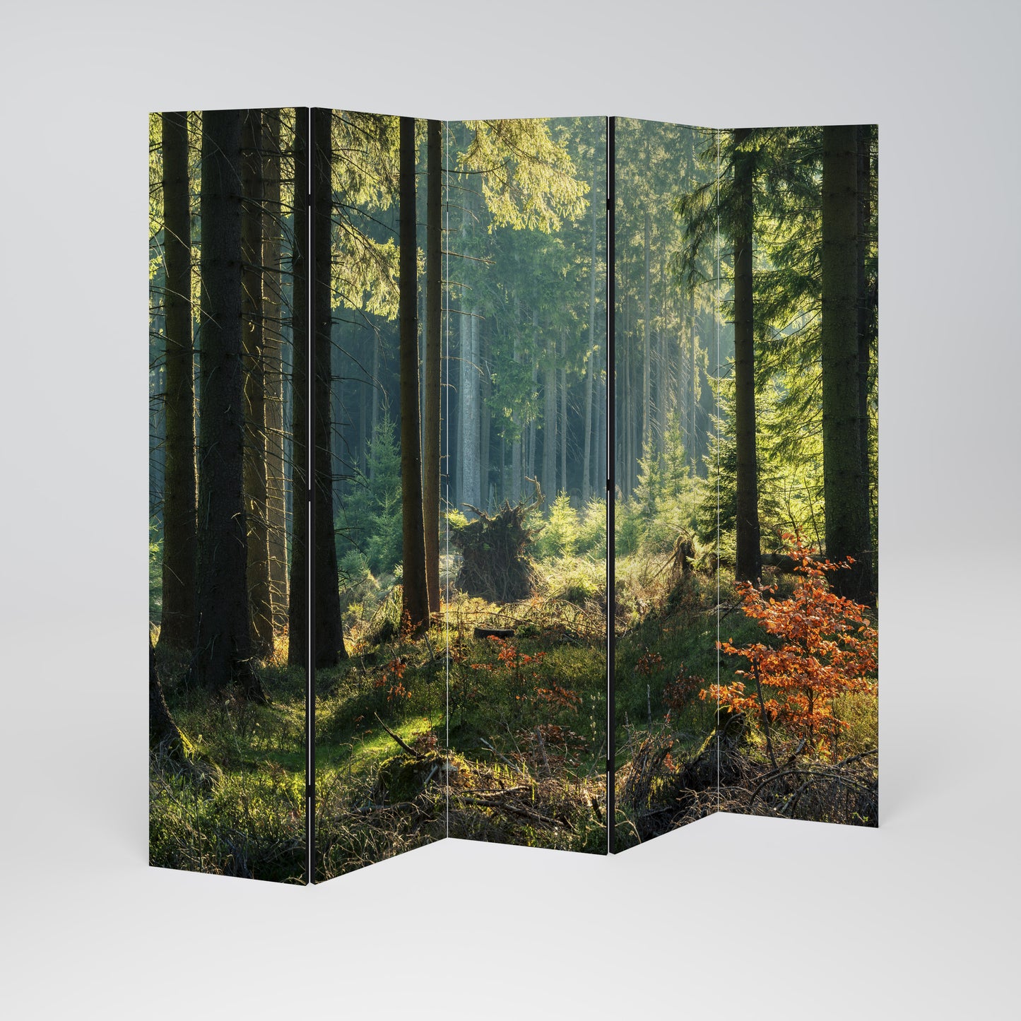 SUNLIT FOREST SERENADE 5-teiliger Paravent
