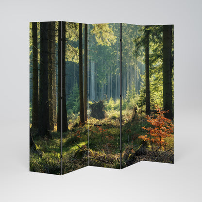 SUNLIT FOREST SERENADE 5-teiliger Paravent