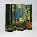 SUNLIT FOREST SERENADE 5-teiliger Paravent